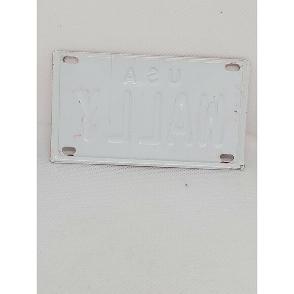 U.S.A Wally Personalized Mini License Plate – White & Red Collectible Bicycle - Picture 6 of 11